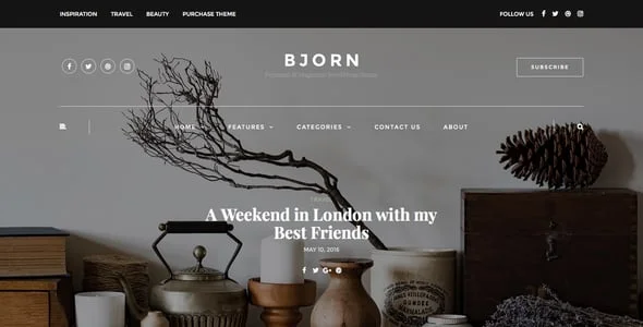 Bjorn - Responsive WordPress Personal Blog Theme — interior page design