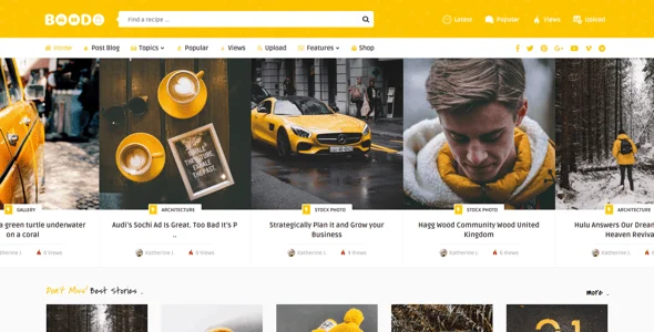 Boodo WP - Food and Magazine Shop WordPress Theme — single post layout