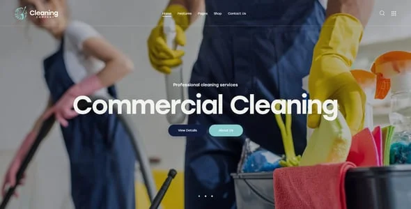 Cleaning Company - Maid Service WordPress Theme + Online Store — interior page design