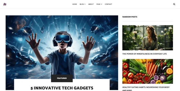 Modena Elegant Blog WordPress Theme — design detail view