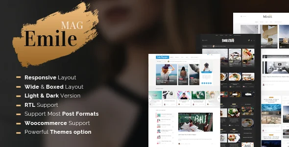 Emile - Responsive WordPress Blog Theme With Shop WordPress theme homepage layout for a ajax search magazine website