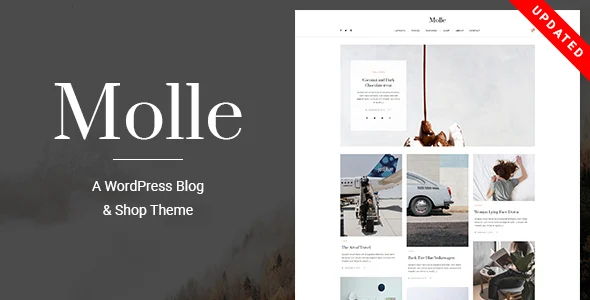 Molle - A Responsive Blog & Shop WordPress Theme WordPress theme homepage layout for a blog wordpress theme magazine website