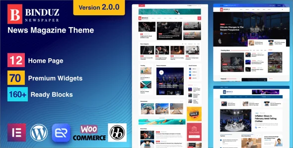 Binduz - Blog Magazine Newspaper WordPress Theme — homepage layout