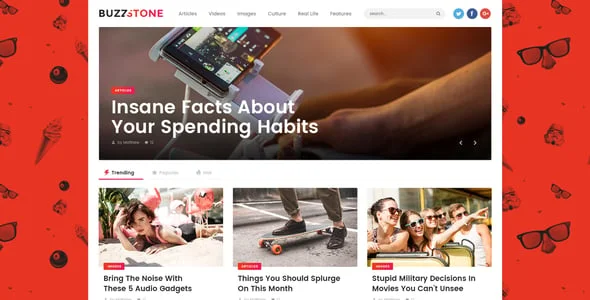 Buzz Stone | Magazine & Viral Blog WordPress Theme — design detail view