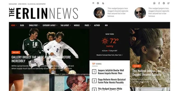 Erlinews – Modern and Classical Newspaper Theme — single post layout