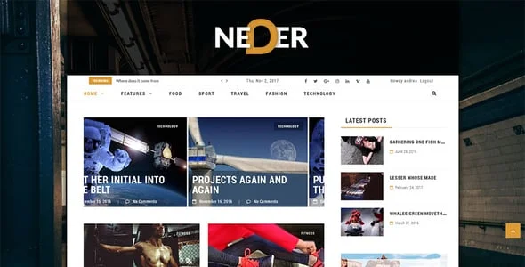 Neder - WordPress News Magazine and Blog Theme — design detail view