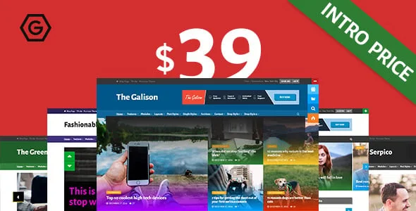 The Galison - Multi-Concept News and Magazine Theme — homepage layout