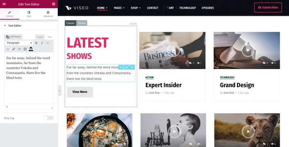Viseo - News, Video, & Podcast WordPress Theme — single post layout