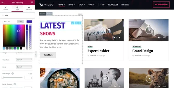 Viseo - News, Video, & Podcast WordPress Theme — interior page design