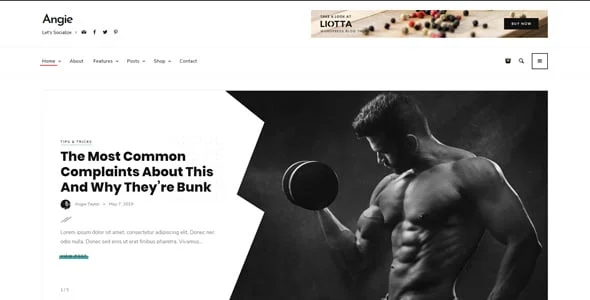 Angie - a Multi-Concept Blog Theme For WordPress — single post layout