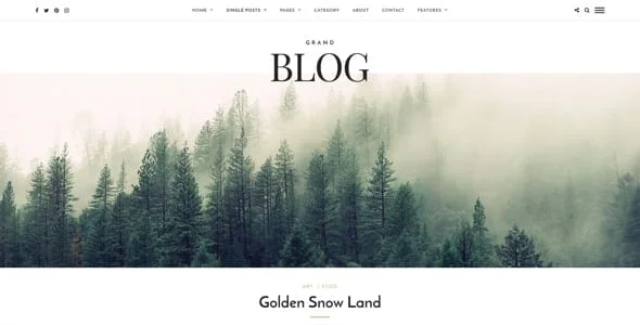 Grand Blog WordPress — interior page design