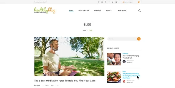 Healthy Blog - Blog WordPress Theme + Store — interior page design