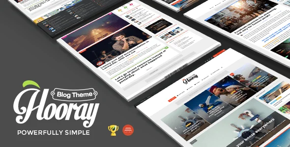 Hooray — Blog WordPress theme for Professional Writers — homepage layout