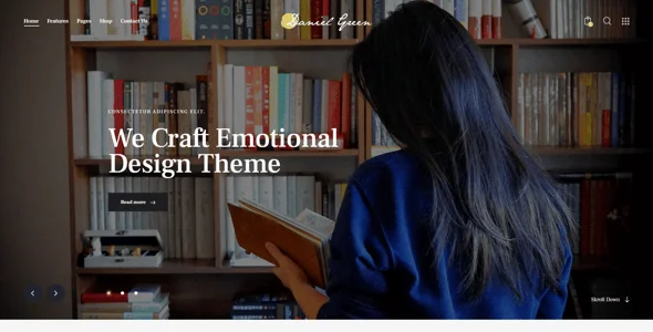 Writer - Journalist & Author Blog Book WordPress Theme — single post layout