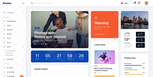Anesta - Intranet, Extranet, Community and BuddyPress WordPress Theme + Courses — content section layout