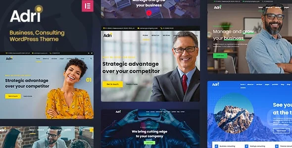 Adri - Business and Consulting WordPress Theme — homepage layout