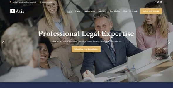 Atis - Lawyer Consulting WordPress Theme — blog and article listing