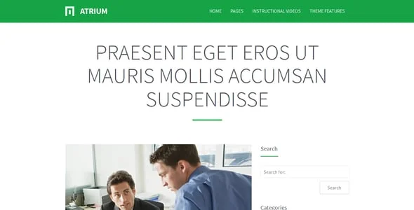 Atrium - Finance Consulting Advisor WordPress Theme — interior page design