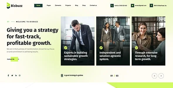 Bisbuzz - Business Consulting WordPress Theme — blog and article listing