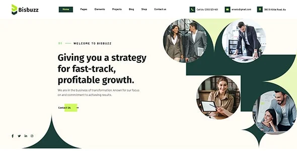 Bisbuzz - Business Consulting WordPress Theme — single post layout