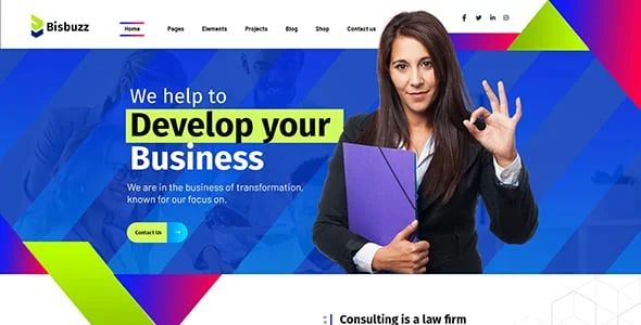 Bisbuzz - Business Consulting WordPress Theme — interior page design