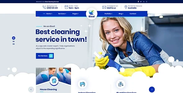 Bixol - Cleaning Services WordPress — single post layout