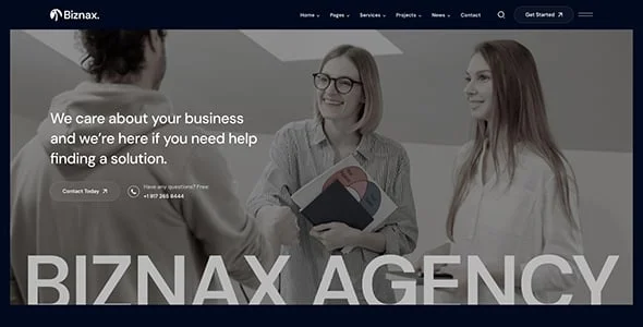 Biznax - Business Consulting WordPress Theme — interior page design