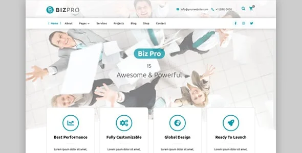 BizPro - Business Consulting Theme + RTL — single post layout