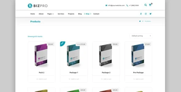 BizPro - Business Consulting Theme + RTL — design detail view