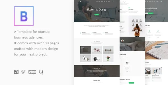 BoTheme - Startup Business WordPress Theme — homepage layout