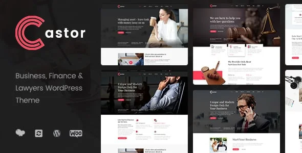 Castor - Business Consulting WordPress Theme — homepage layout