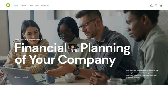 Consultor | Consulting, Accounting & Legal Counsel WordPress Theme — blog and article listing