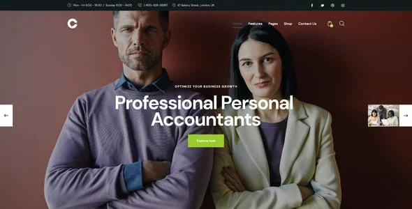 Consultor | Consulting, Accounting & Legal Counsel WordPress Theme — single post layout