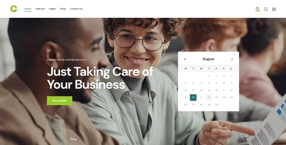 Consultor | Consulting, Accounting & Legal Counsel WordPress Theme — interior page design