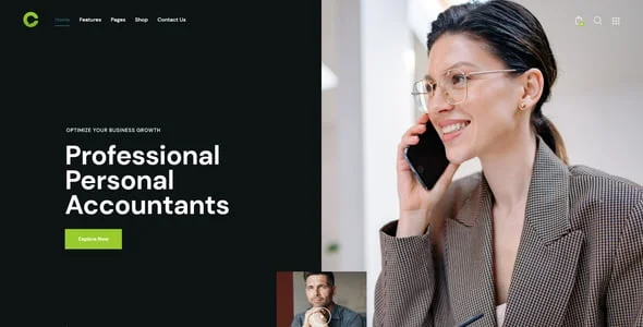 Consultor | Consulting, Accounting & Legal Counsel WordPress Theme — design detail view