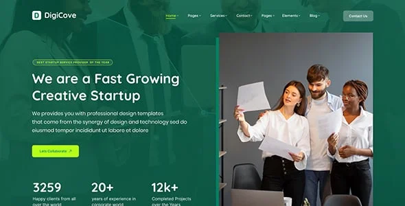 Digicove - Digital Marketing Agency WordPress Theme — single post layout