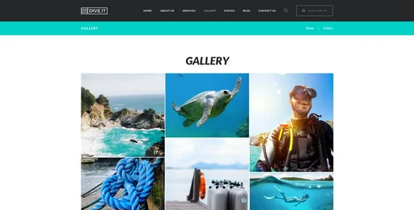 DiveIt - Scuba Diving School & Travel WordPress Theme — interior page design