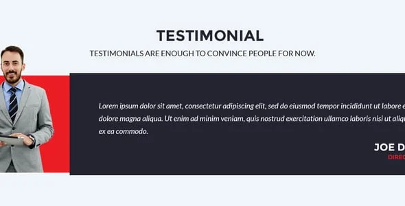 Eagle - Logistics & Transportation WordPress Theme — design detail view