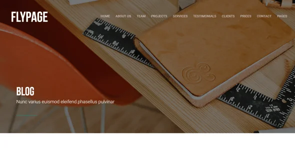 FlyPage - Minimalist Landing Page WordPress Theme — design detail view