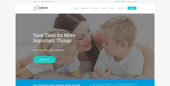 GoWash | Dry Cleaning & Laundry Service WordPress Theme — single post layout