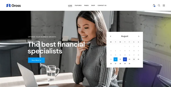 Gross - Accounting, Statistics & Analytics WordPress Theme — blog and article listing