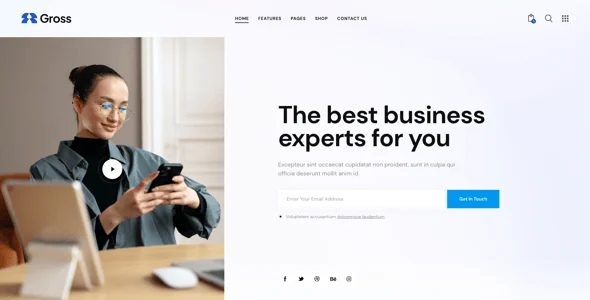 Gross - Accounting, Statistics & Analytics WordPress Theme — single post layout