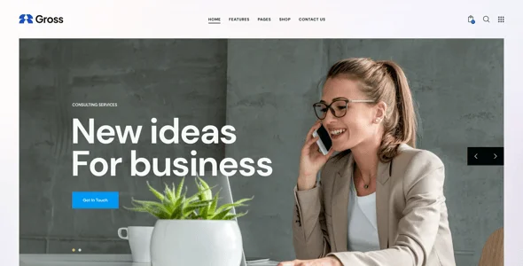 Gross - Accounting, Statistics & Analytics WordPress Theme — interior page design