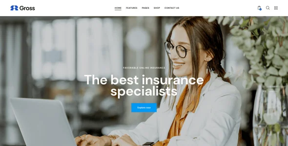 Gross - Accounting, Statistics & Analytics WordPress Theme — design detail view