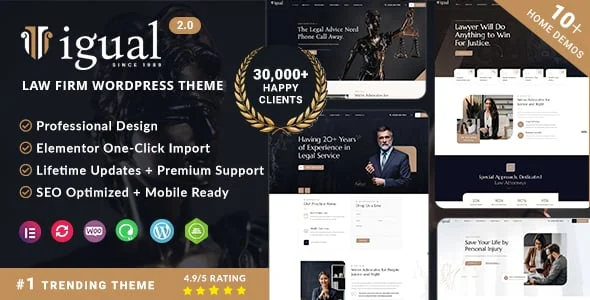 Igual - Lawyer, Attorney & Law Firm WordPress Theme — homepage layout