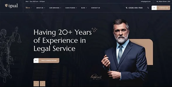 Igual - Lawyer, Attorney & Law Firm WordPress Theme — single post layout