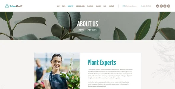 Indoor Plants | Houseplants Store & Florist WordPress Theme — interior page design