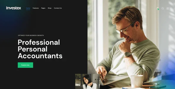 Investex - Corporate & Accounting Finance WordPress Theme — single post layout