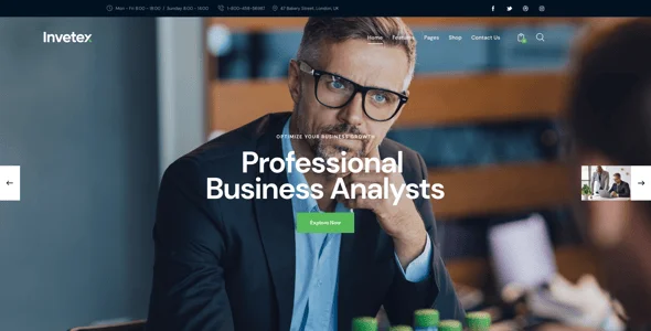 Invetex | Consulting & Investment Theme — single post layout