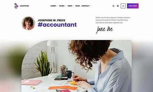 Josephine - Professional Services FSE WordPress Block Theme — design detail view